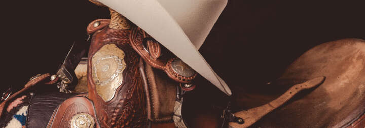 teaserbild hoeveler western natur natuerlich einstiegsbanner pferdefutter pferd ergaenzungsfutter supplemente